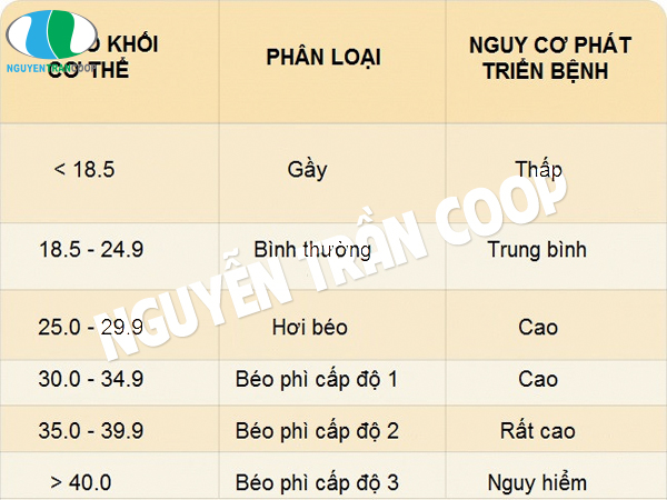 Top 6 cách tăng cân tự nhiên mà người gầy nên áp dụng