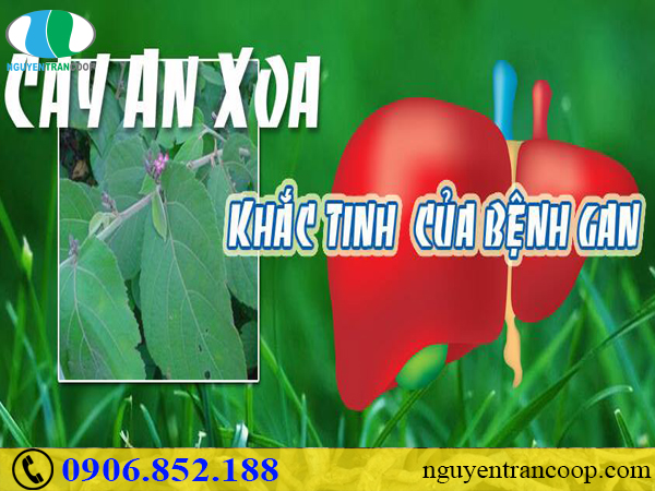 Triệu chứng suy giảm chức năng gan có dễ nhận biết?