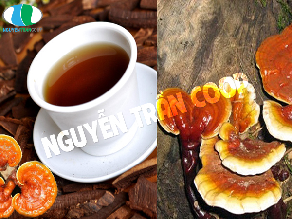 Uống Nấm Lim Xanh kiêng gì là tốt nhất?