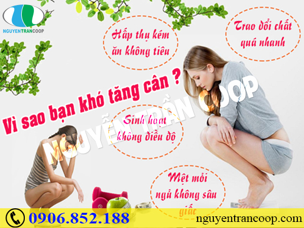 Vì sao người gầy ăn nhiều mà không tăng cân?