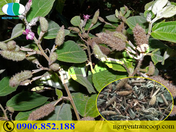 Vô vàn tác hại của rượu bia với gan ai cũng nên tránh