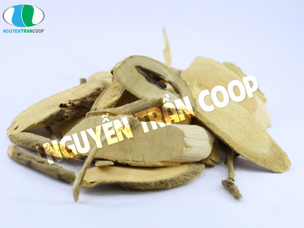 Xáo Tam Phân chữa ung thư đại tràng có thực sự hiệu quả?