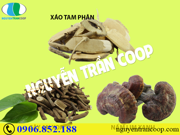 3 lời khuyên về chế độ ăn cho người sau xạ trị