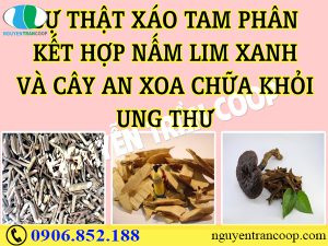 Bạn có nằm trong nhóm người dễ mắc ung thư gan hay không?