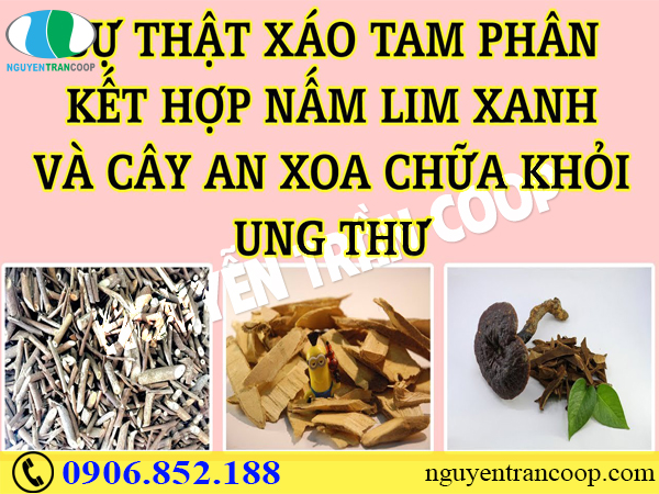 Bạn có nằm trong nhóm người dễ mắc ung thư gan hay không?