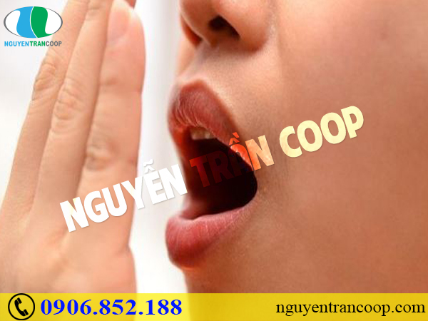 Bạn đã biết công dụng Cây An Xoa chữa nóng gan hay chưa?