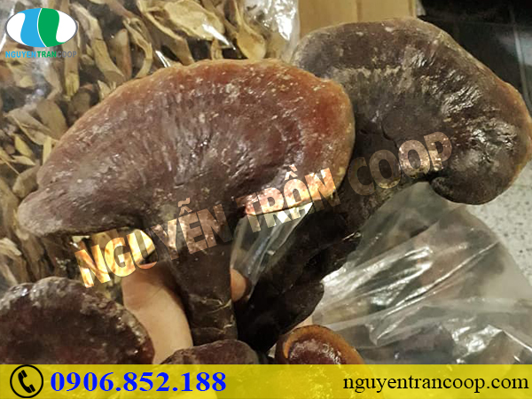 Bệnh tật đến gần với những chất gây ung thư trong thực phẩm