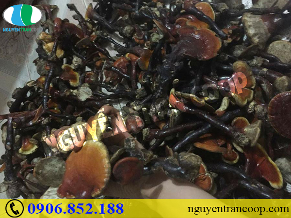 Bệnh tiểu đường có nên ăn trái cây không?