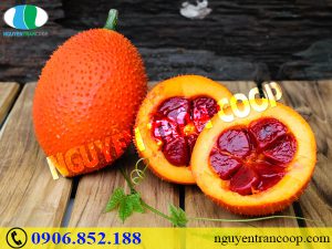 Bí mật từ những thực phẩm ngừa ung thư