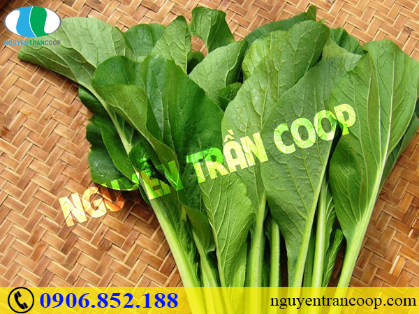 Bí mật từ những thực phẩm ngừa ung thư