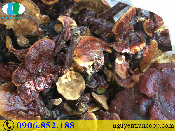 Bí mật từ những thực phẩm ngừa ung thư