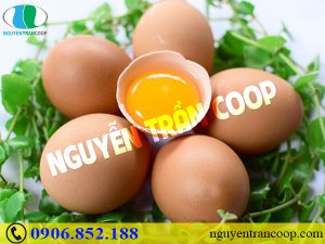 Bí quyết cho người gầy nhanh chóng tăng cân bằng trứng gà