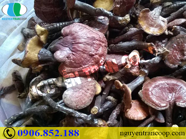 Biến chứng của cao huyết áp có nguy hiểm không?