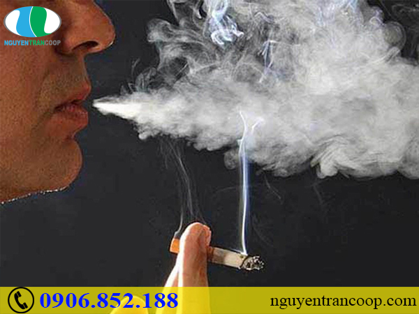 CẢNH BÁO!!! Chúng ta đang tiếp xúc với các chất gây ung thư mỗi ngày