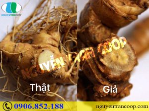 Chiêu trò làm Sâm Ngọc Linh giả khiến người dùng hoang mang