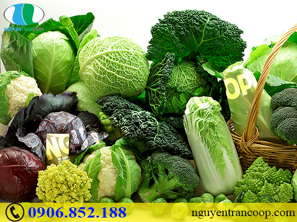 Chịu khó ăn những thực phẩm bổ gan - Không sợ bệnh gan đến tìm