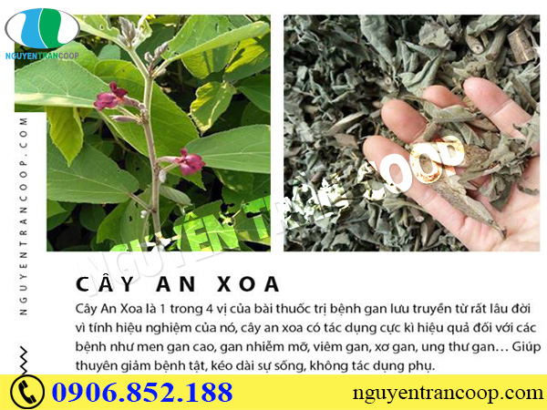 Đi tìm sự thật cho thịt đỏ gây bệnh gan