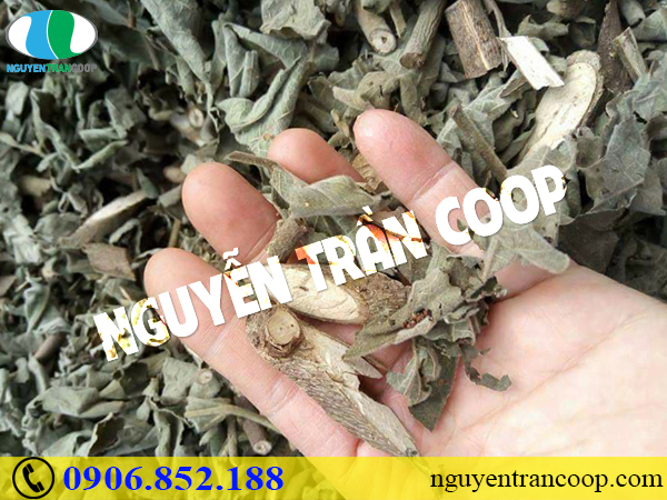 Điều trị viêm gan C mãn tính cần chú ý điều gì?