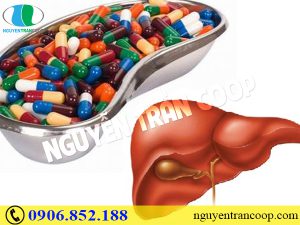 Gan bị “bội thực” do giải độc gan sai cách