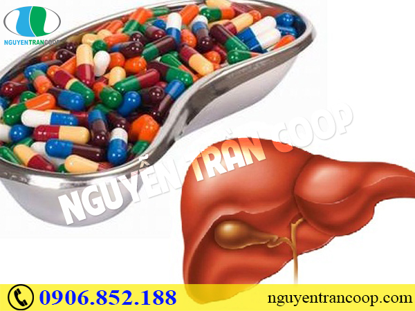 Gan bị “bội thực” do giải độc gan sai cách