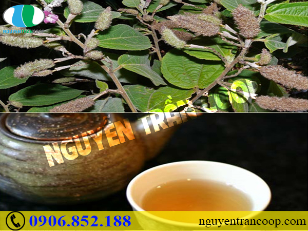 Ghi lại ngay những thức uống tốt cho người bệnh gan