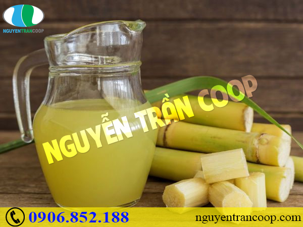 Sâm Ngọc Linh - Thần dược chống lão hóa cho phái đẹp