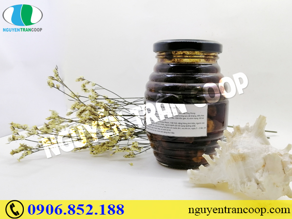 Hướng dẫn cách dùng Sâm Ngọc Linh ngâm mật ong hiệu quả nhất