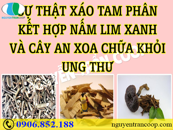 Hy vọng cho người bệnh chữa ung thư gan giai đoạn cuối