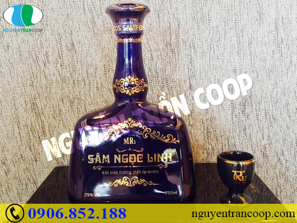 Muốn bồi bổ sức khỏe - nhớ ngay công dụng rượu Sâm Ngọc Linh
