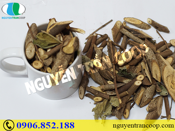 Ngạc nhiên vì những nguồn lây nhiễm bệnh gan không ngờ đến