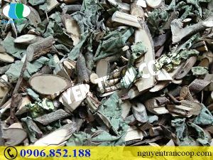 Người bệnh Gan do rượu đang ở mức báo động