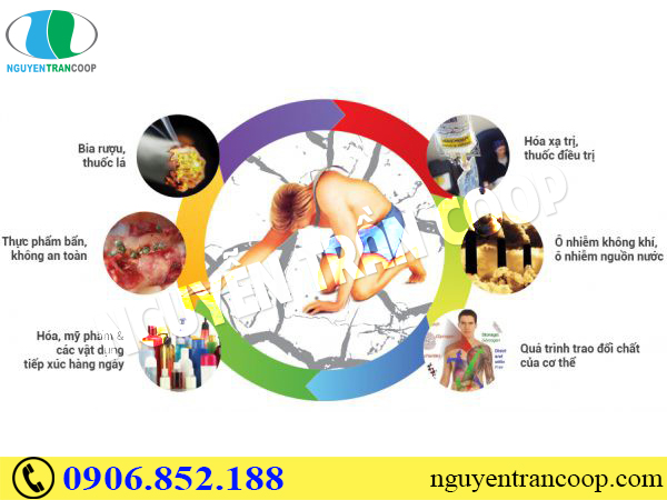 Người gầy ốm mãi, liệu bạn có đang mắc sai lầm khi tăng cân?