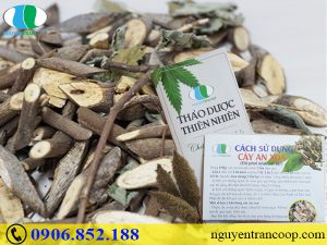 Người mắc bệnh gan có nên uống nước trà hay không?