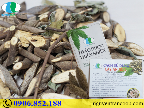 Người mắc bệnh gan có nên uống nước trà hay không?