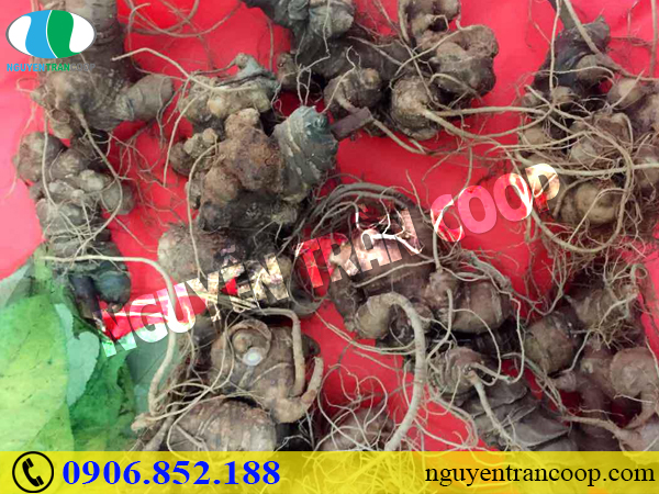 Những chứng bệnh người cao tuổi vào mùa lạnh dễ mắc phải