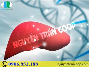 nhung-dieu-can-biet-ve-benh-gan-di-truyen-1