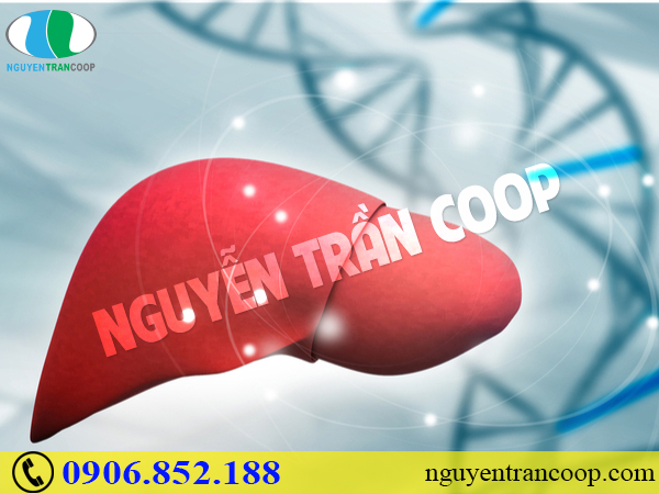 nhung-dieu-can-biet-ve-benh-gan-di-truyen-1