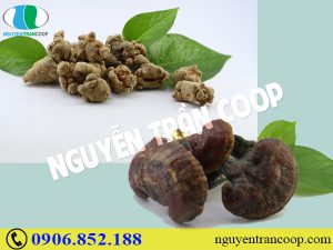 Những triệu chứng ung thư gan di căn là gì?