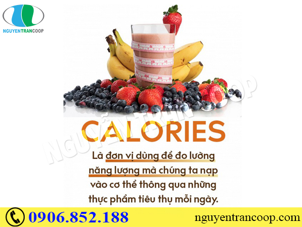 Tăng cân cho nam giới hiệu quả dịp Tết 2019