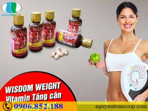 Thực hư tác dụng của Thuốc tăng cân Wisdom Weight như thế nào?