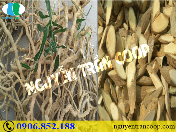 Ung thư di căn là gì? Có thể chữa khỏi được không?