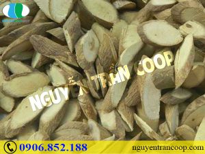 Vì sao chăm sóc bệnh nhân sau hóa trị rất quan trọng?