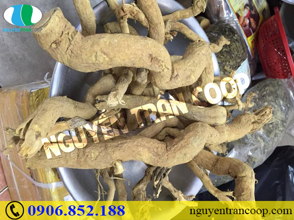 Xôn xao tác dụng Xáo Tam Phân chữa ung thư buồng trứng