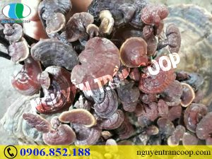 Bệnh tiểu đường tuýp 2 là gì mà ai cũng dễ mắc?