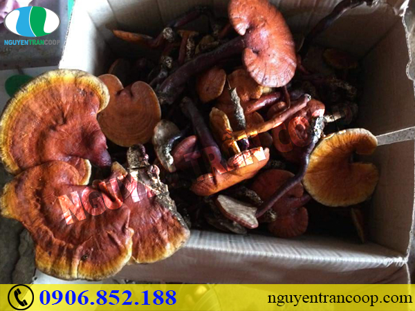 Bí quyết phòng bệnh tiểu đường hiệu quả