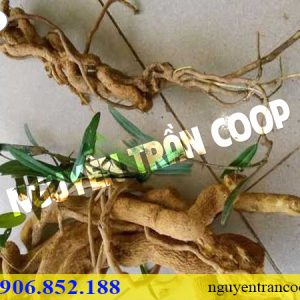 Cách nhận biết Xáo Tam Phân thật dễ nhất