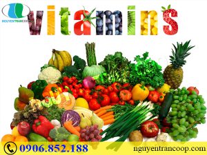 Chóng phục hồi sức khỏe với thuốc bổ cho người ung thư