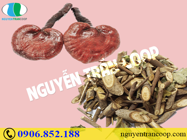 Chóng phục hồi sức khỏe với thuốc bổ cho người ung thư