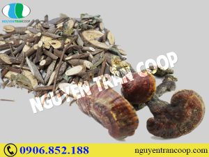 Chữa bệnh gan do rượu có khó không?