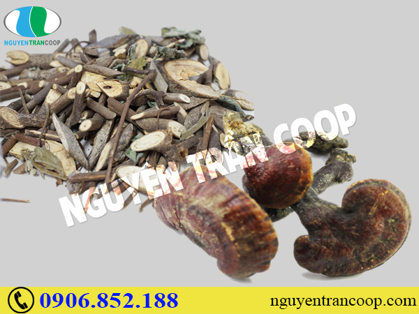 Chữa bệnh gan do rượu có khó không?